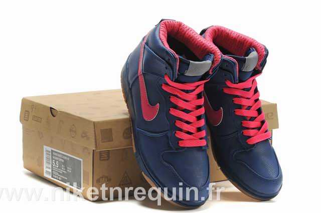 bleu Nike SB (1)